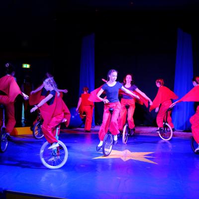 Pic Circusfestival 2024 08